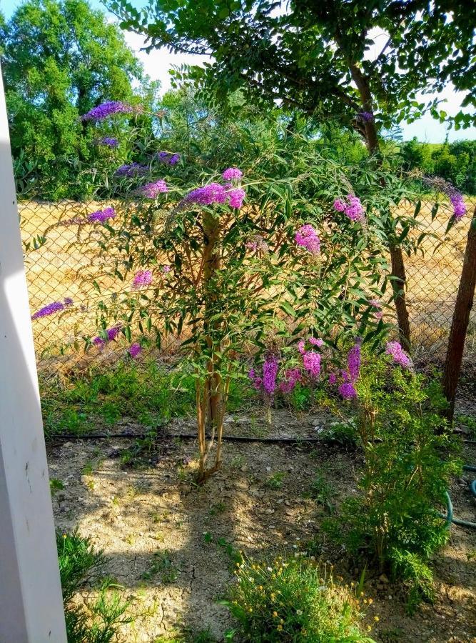 La Casa Di Tara B&B Armonia E Natura Recanati Zewnętrze zdjęcie