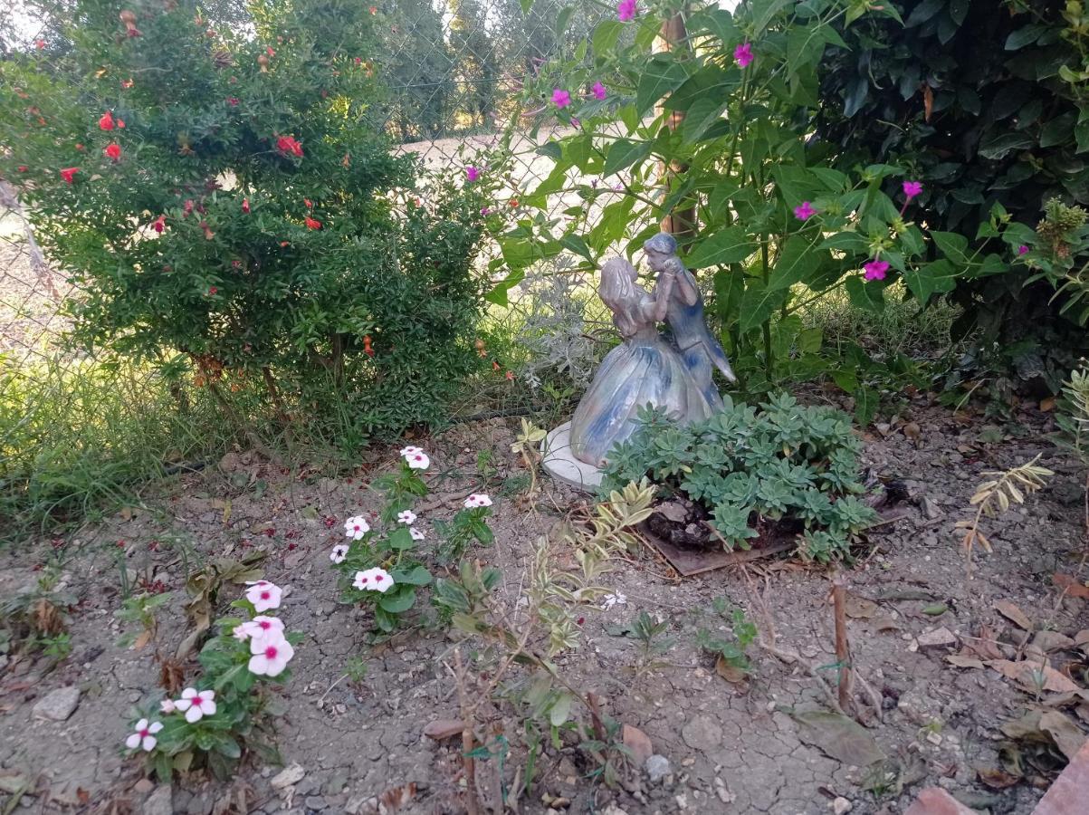 La Casa Di Tara B&B Armonia E Natura Recanati Zewnętrze zdjęcie