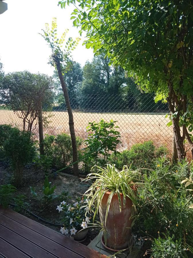 La Casa Di Tara B&B Armonia E Natura Recanati Zewnętrze zdjęcie