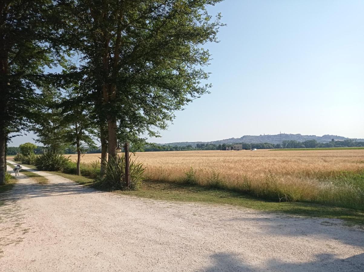 La Casa Di Tara B&B Armonia E Natura Recanati Zewnętrze zdjęcie