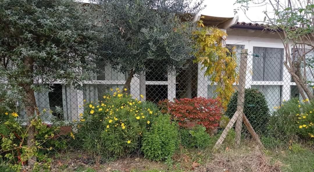 La Casa Di Tara B&B Armonia E Natura Recanati Zewnętrze zdjęcie