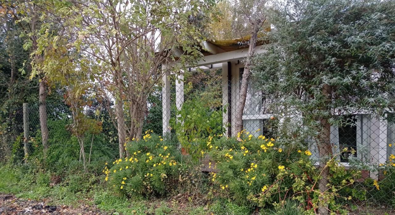 La Casa Di Tara B&B Armonia E Natura Recanati Zewnętrze zdjęcie