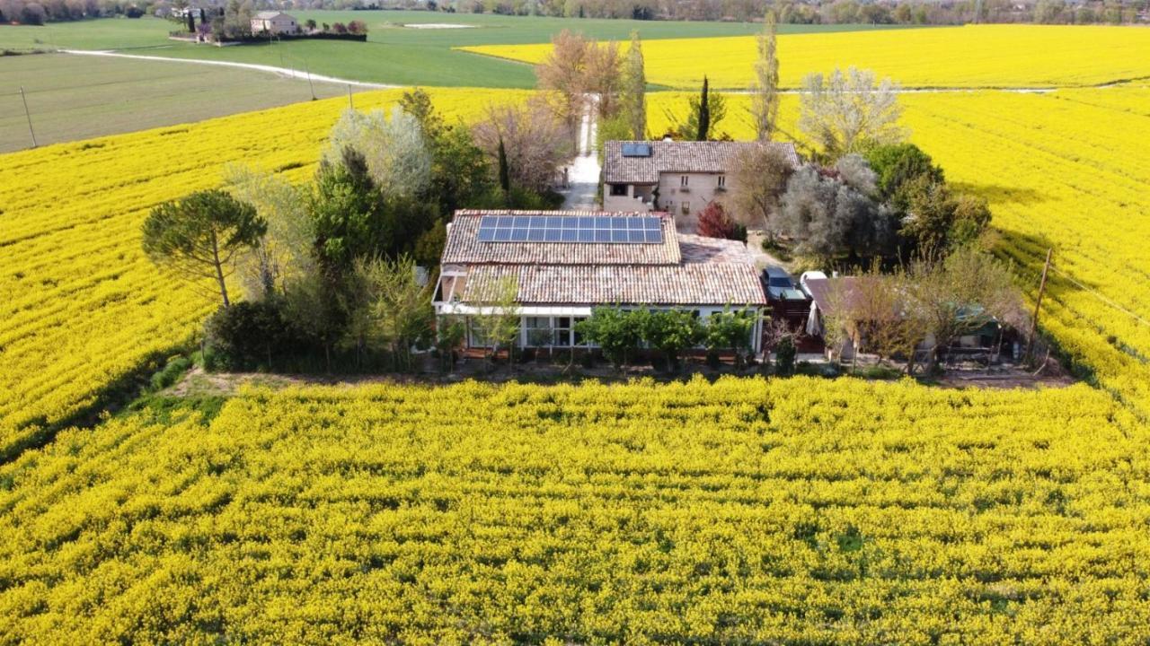 La Casa Di Tara B&B Armonia E Natura Recanati Zewnętrze zdjęcie