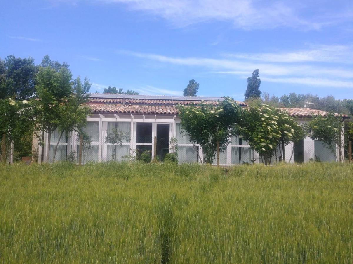 La Casa Di Tara B&B Armonia E Natura Recanati Zewnętrze zdjęcie
