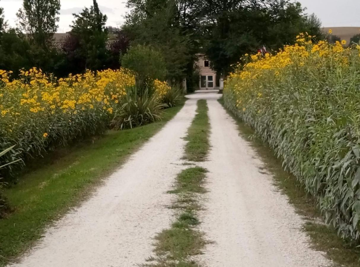 La Casa Di Tara B&B Armonia E Natura Recanati Zewnętrze zdjęcie