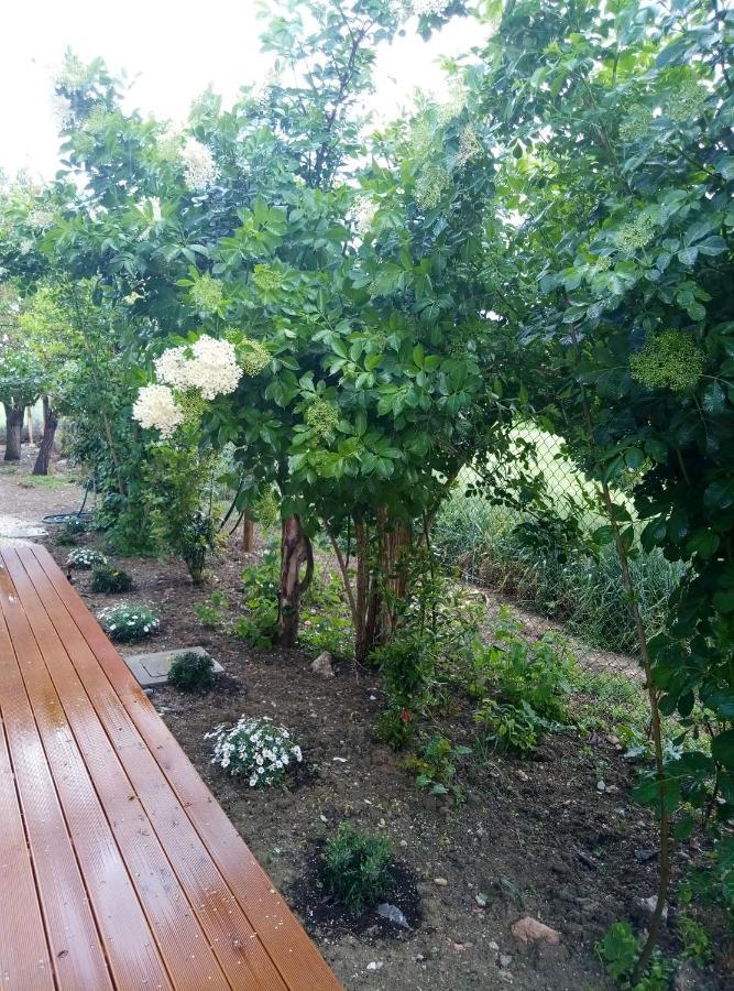 La Casa Di Tara B&B Armonia E Natura Recanati Zewnętrze zdjęcie