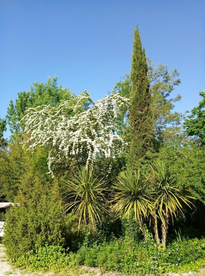 La Casa Di Tara B&B Armonia E Natura Recanati Zewnętrze zdjęcie