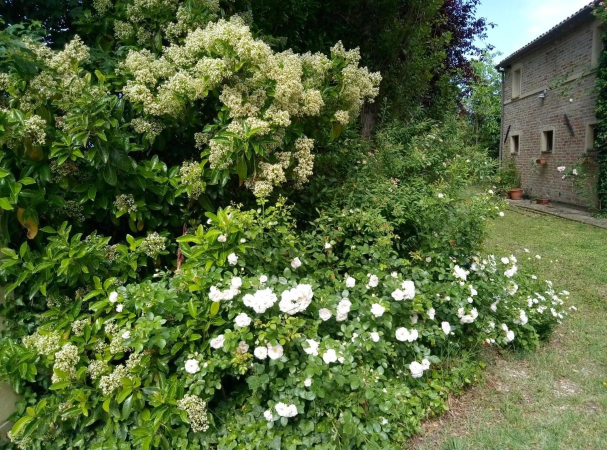 La Casa Di Tara B&B Armonia E Natura Recanati Zewnętrze zdjęcie