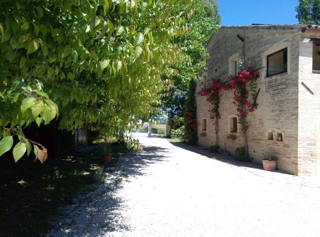 La Casa Di Tara B&B Armonia E Natura Recanati Zewnętrze zdjęcie